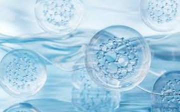 Fullerene Essence Fullerene Essence